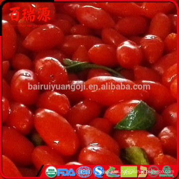 Ningxia siyah goji berry dulce gnc goji bayas frescas de goji